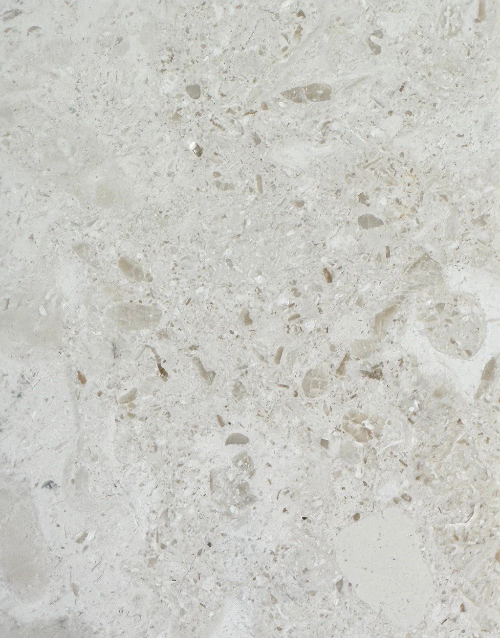 Seashell Limestone