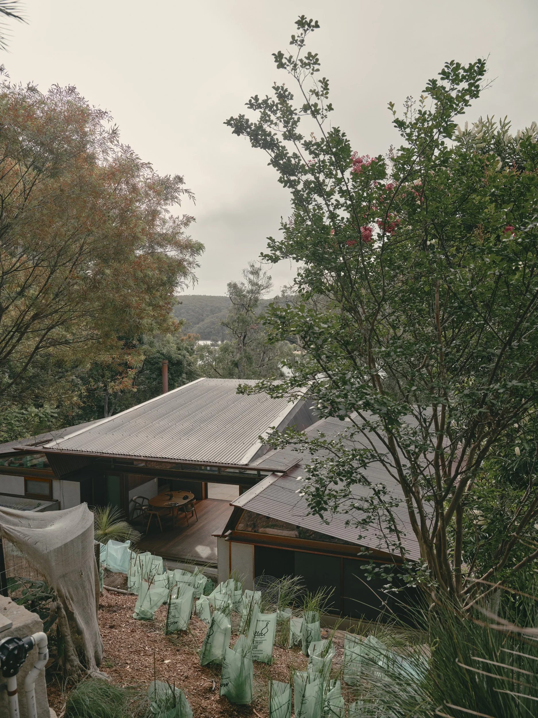 ms bka pittwater house 016 web.jpg