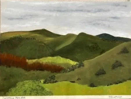 Calistoga, Pastel, 9” x 12” May 2024
UNFRAMED
