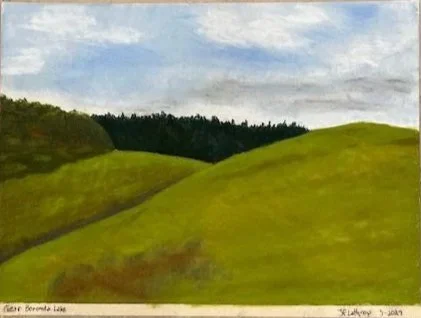 Near Boronda Lake, Pastel 9"x12" March 2024
UNFRAMED