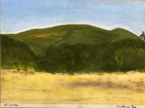 Off Cuesta, Pastel 9"x12" July 2024
UNFRAMED