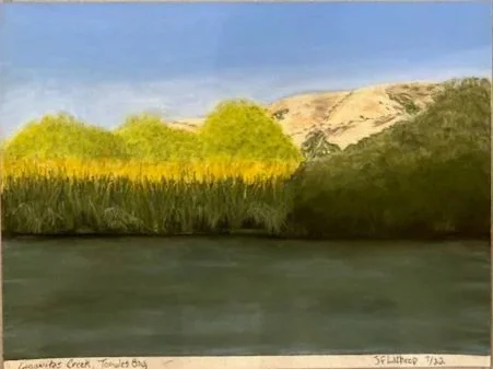 Lagunitas Creek, Pastel, 9"x12" July 2022
UNFRAMED