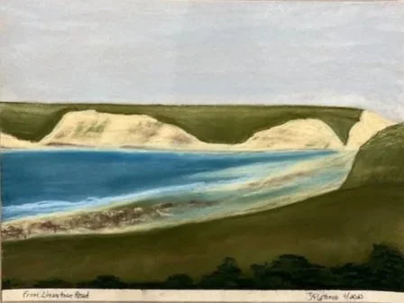 From Limantour Road, Pastel, 9” x 12” April 2023
UNFRAMED