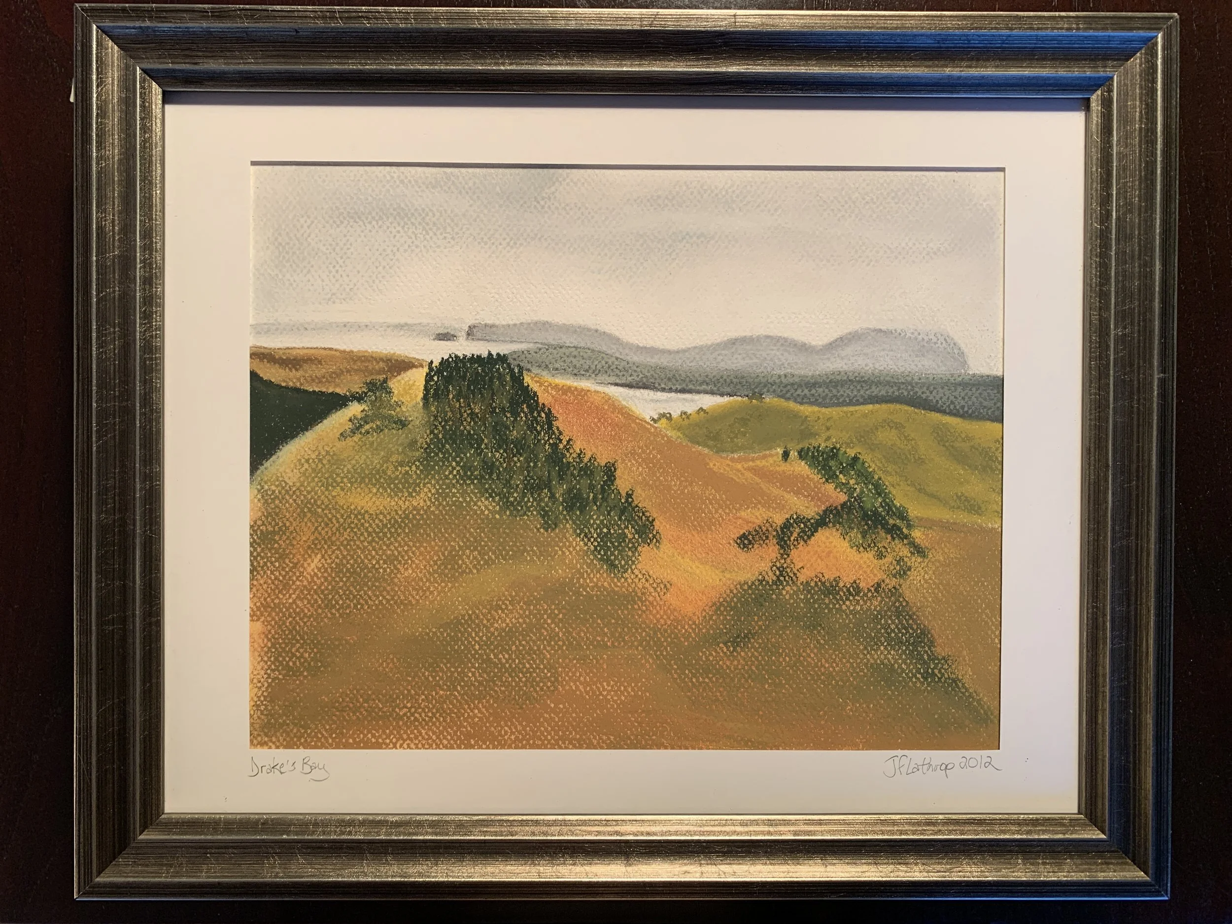 Drakes Bay from Mt Vision, Pastel, 2012