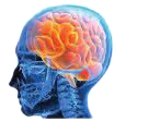 Neuropsychology Assessment Services