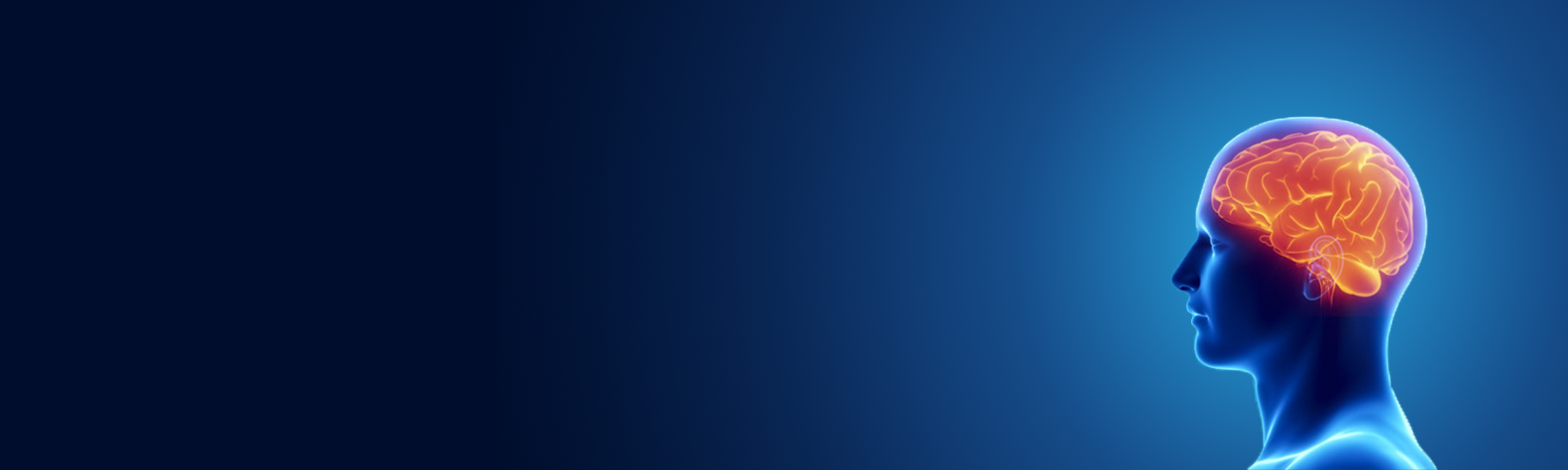 Neuropsychology Assessment Services