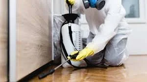 Insect Extermination.jpg