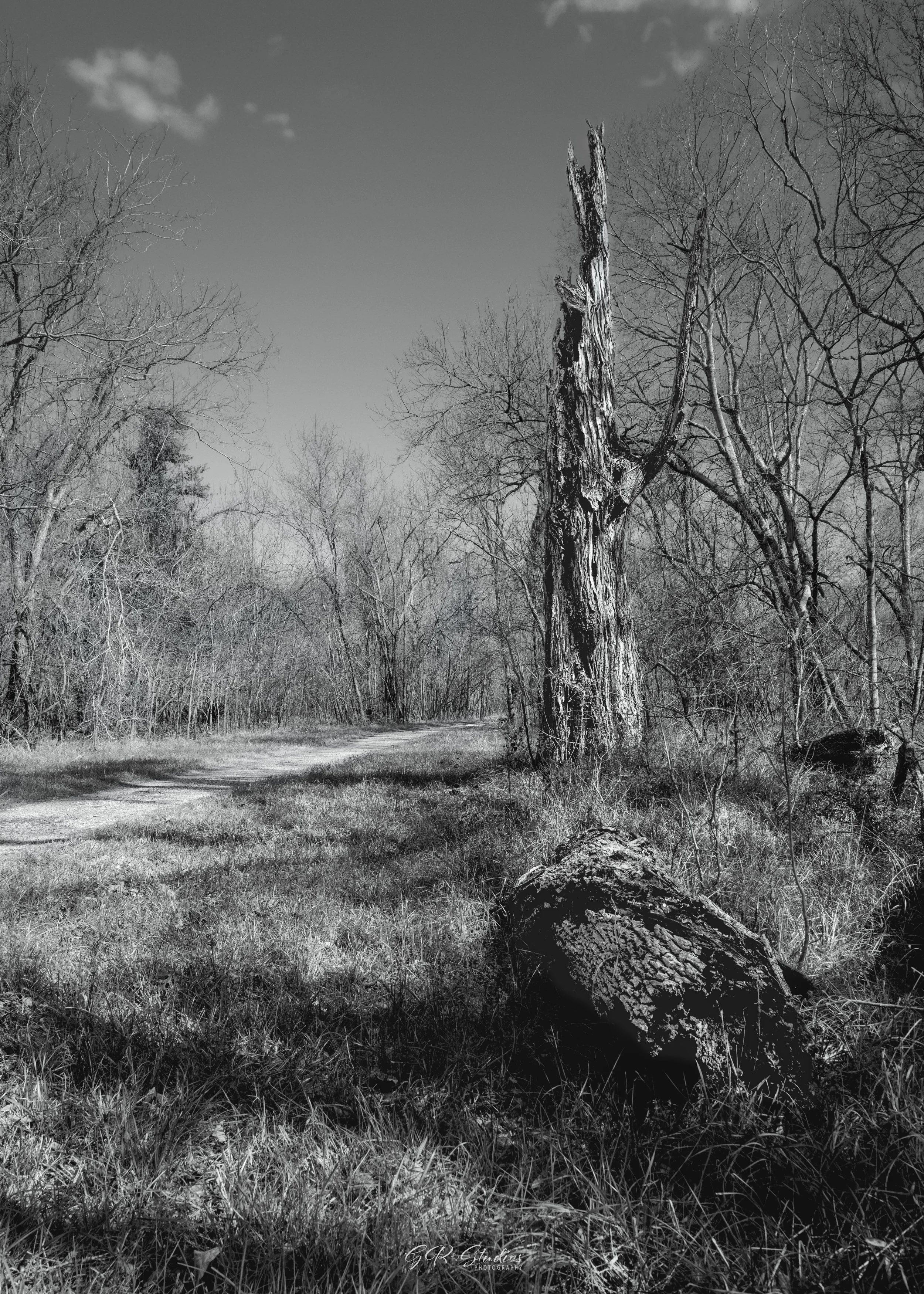 Brazos Bend State Park