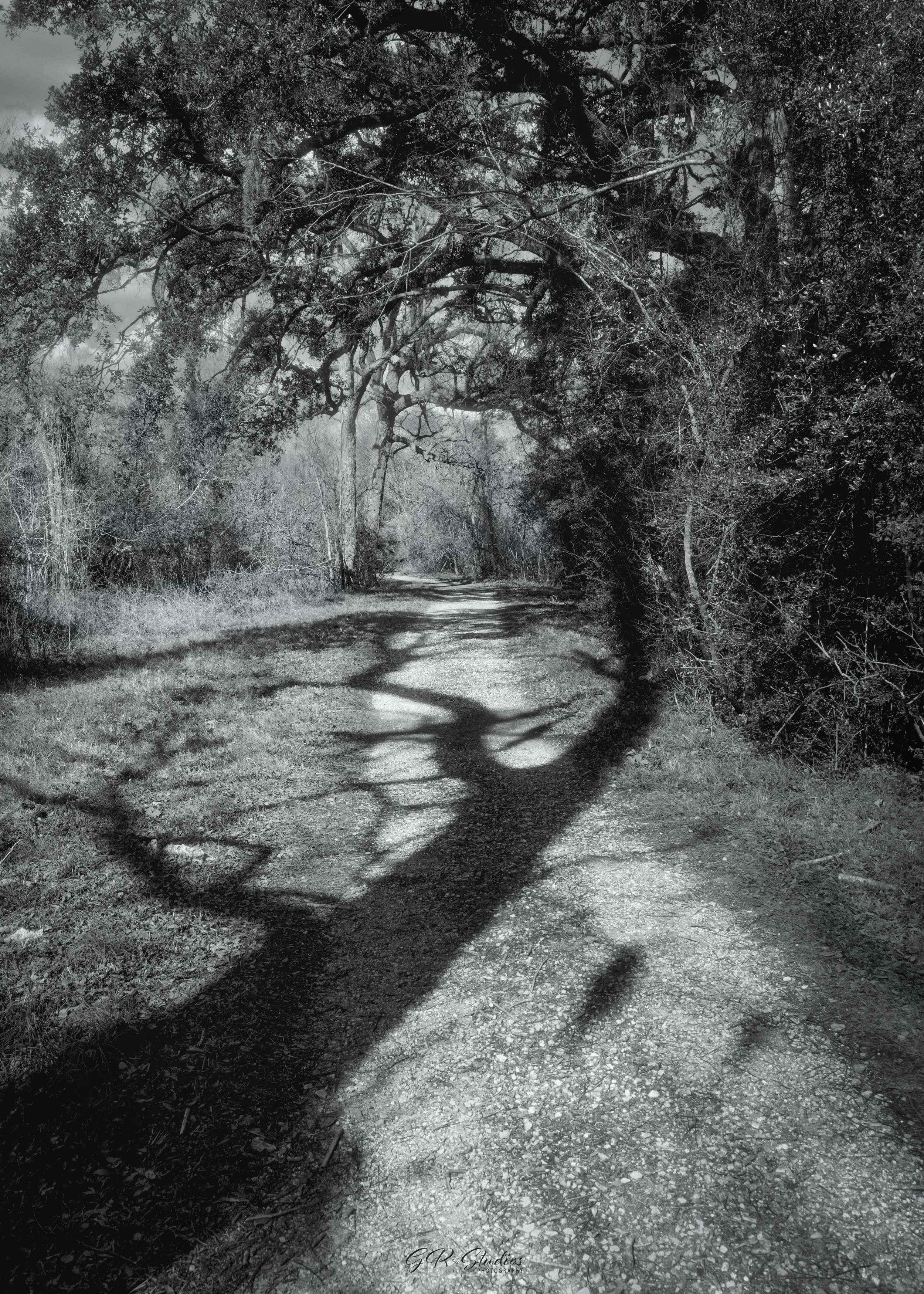 Brazos Bend State Park