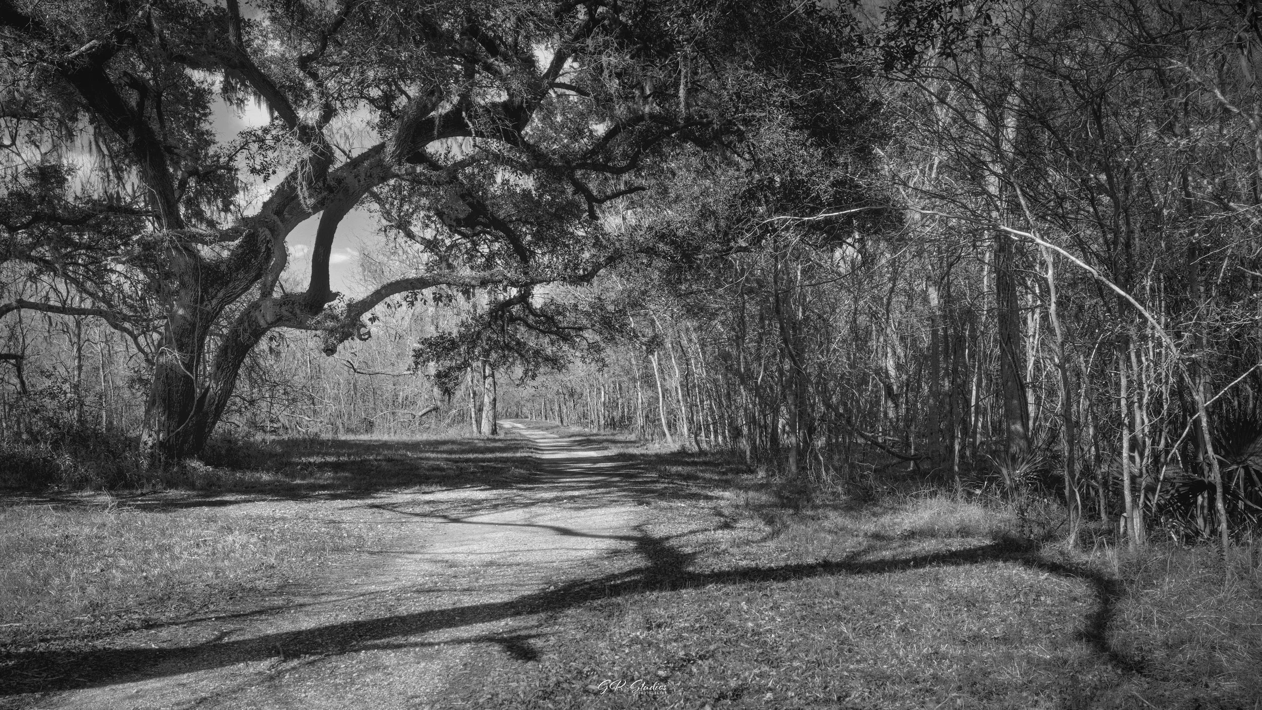 Brazos Bend State Park