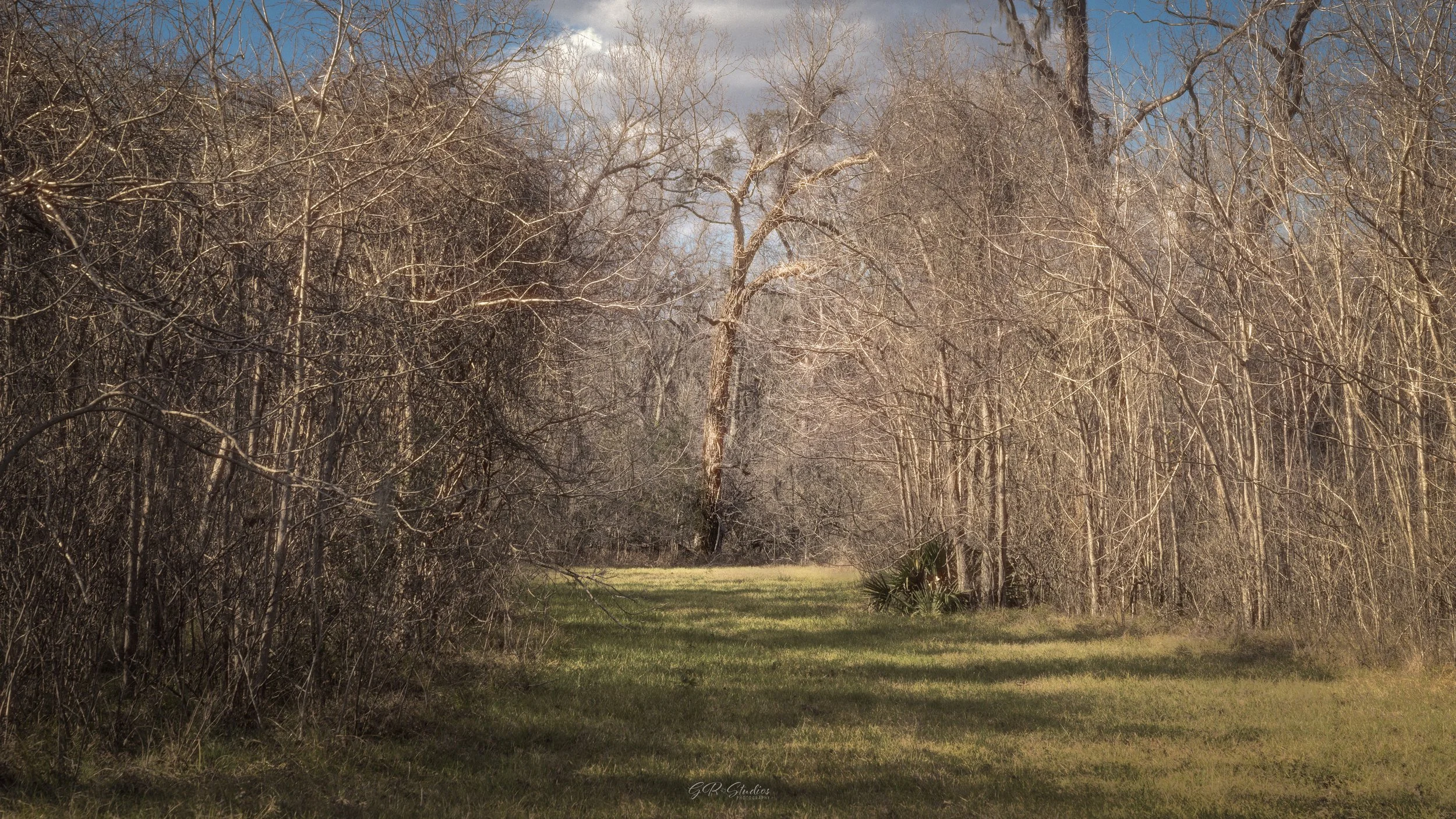 Brazos Bend State Park