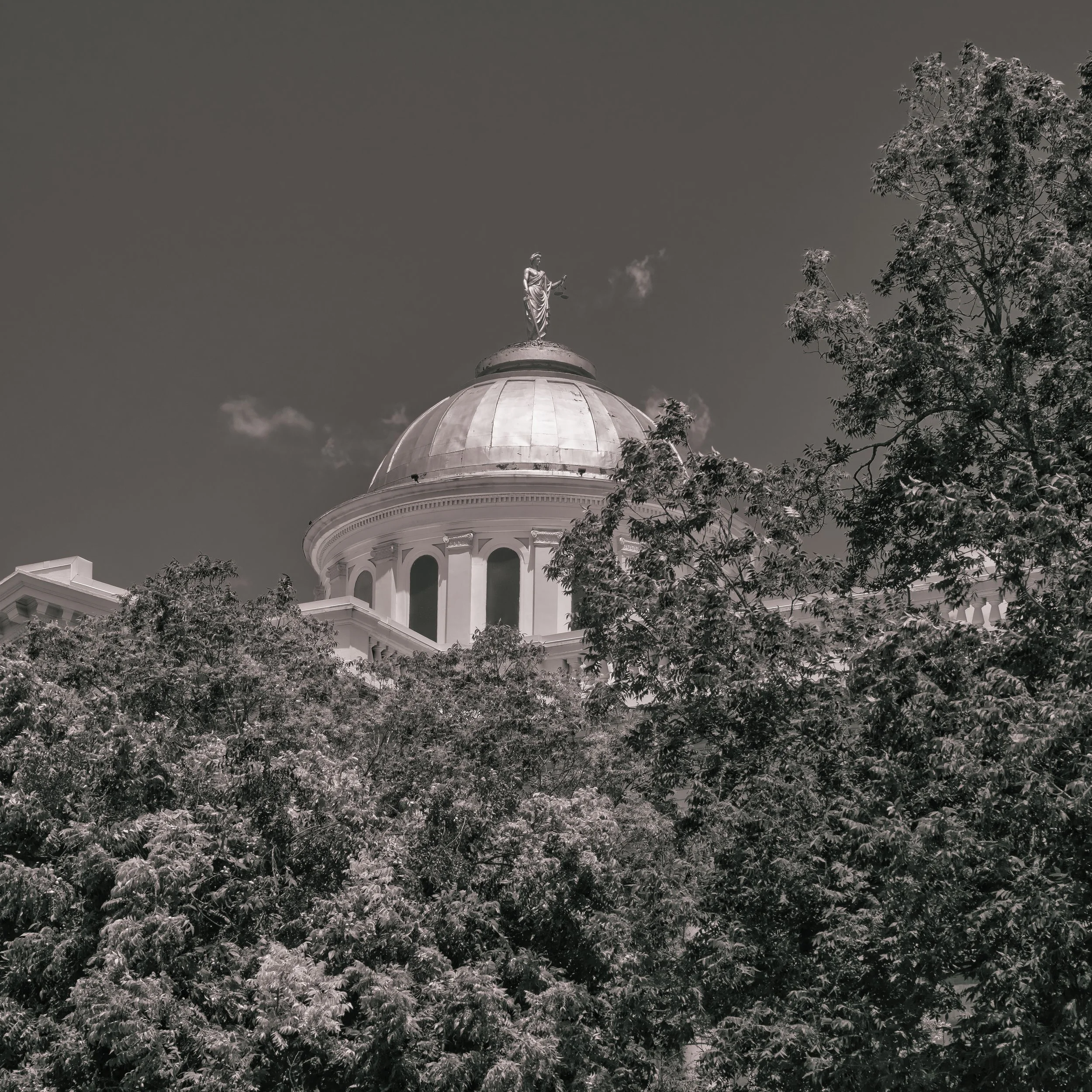 Anderson County - Palestine, Texas