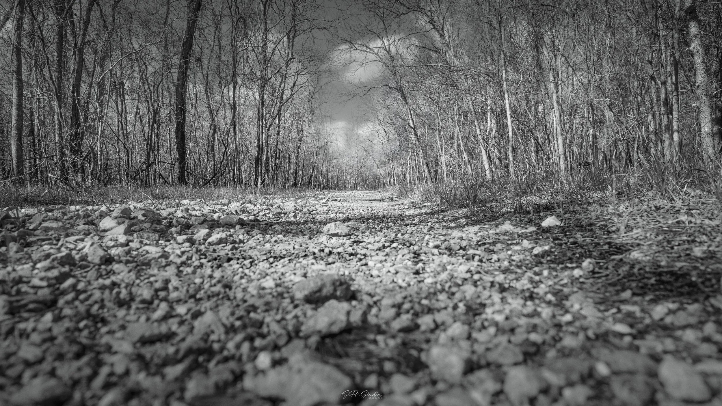 Brazos Bend State Park