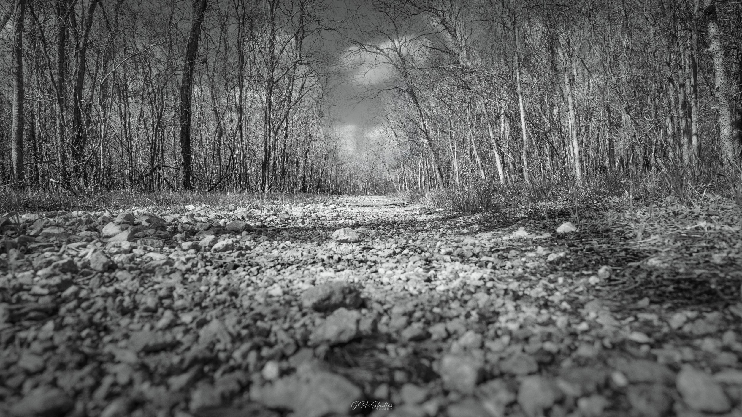 Brazos Bend State Park