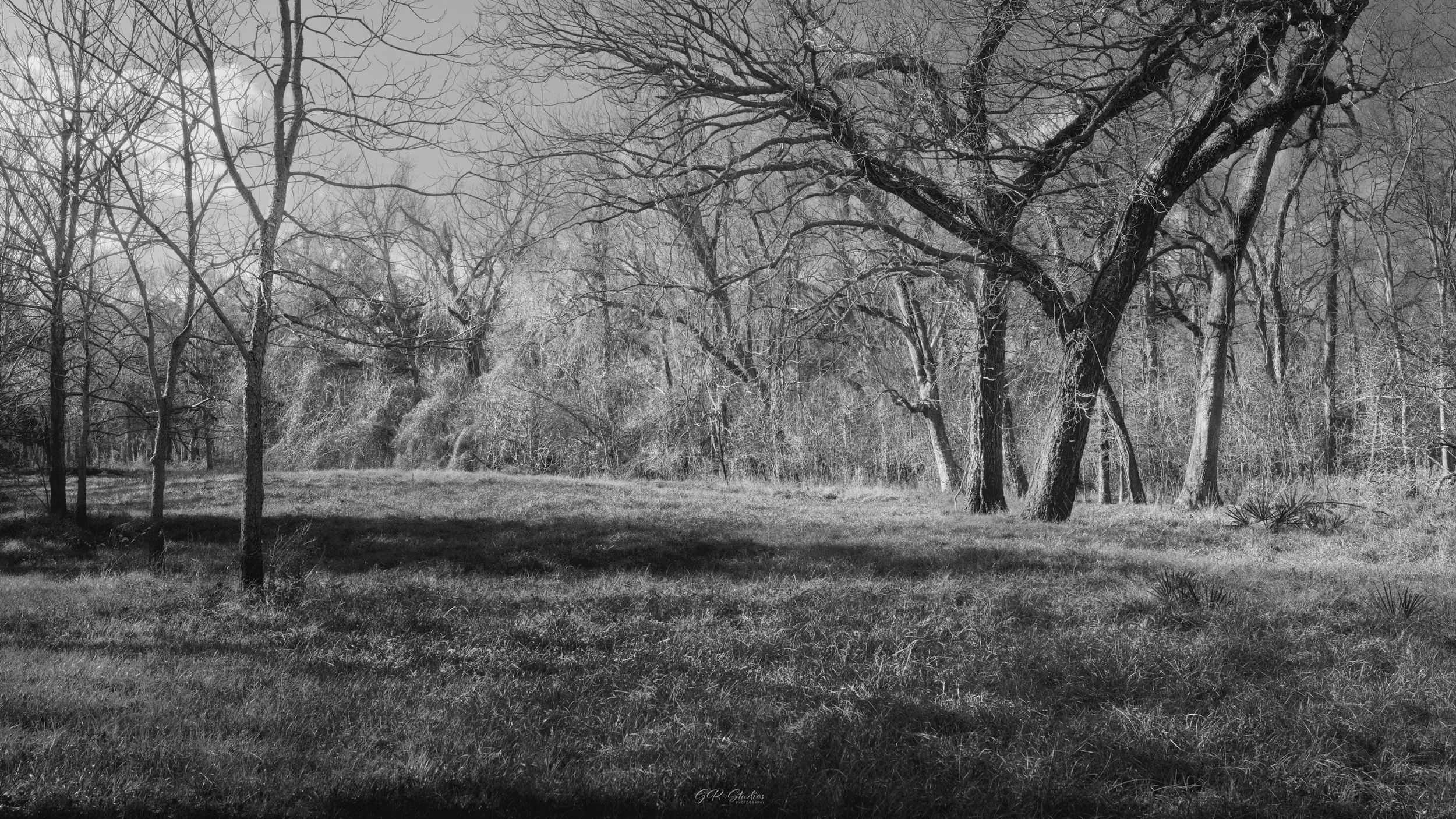 Brazos Bend State Park