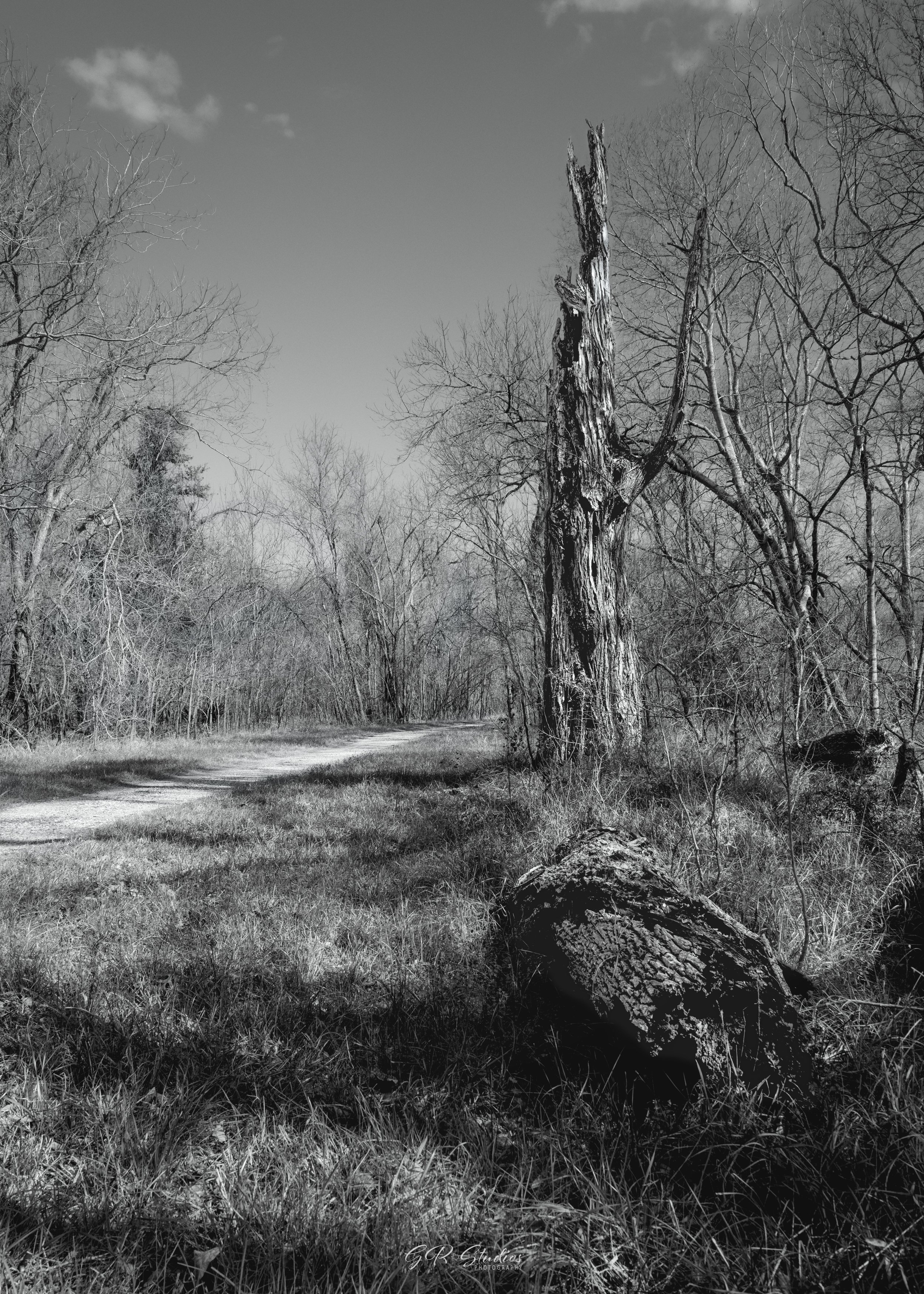 Brazos Bend State Park