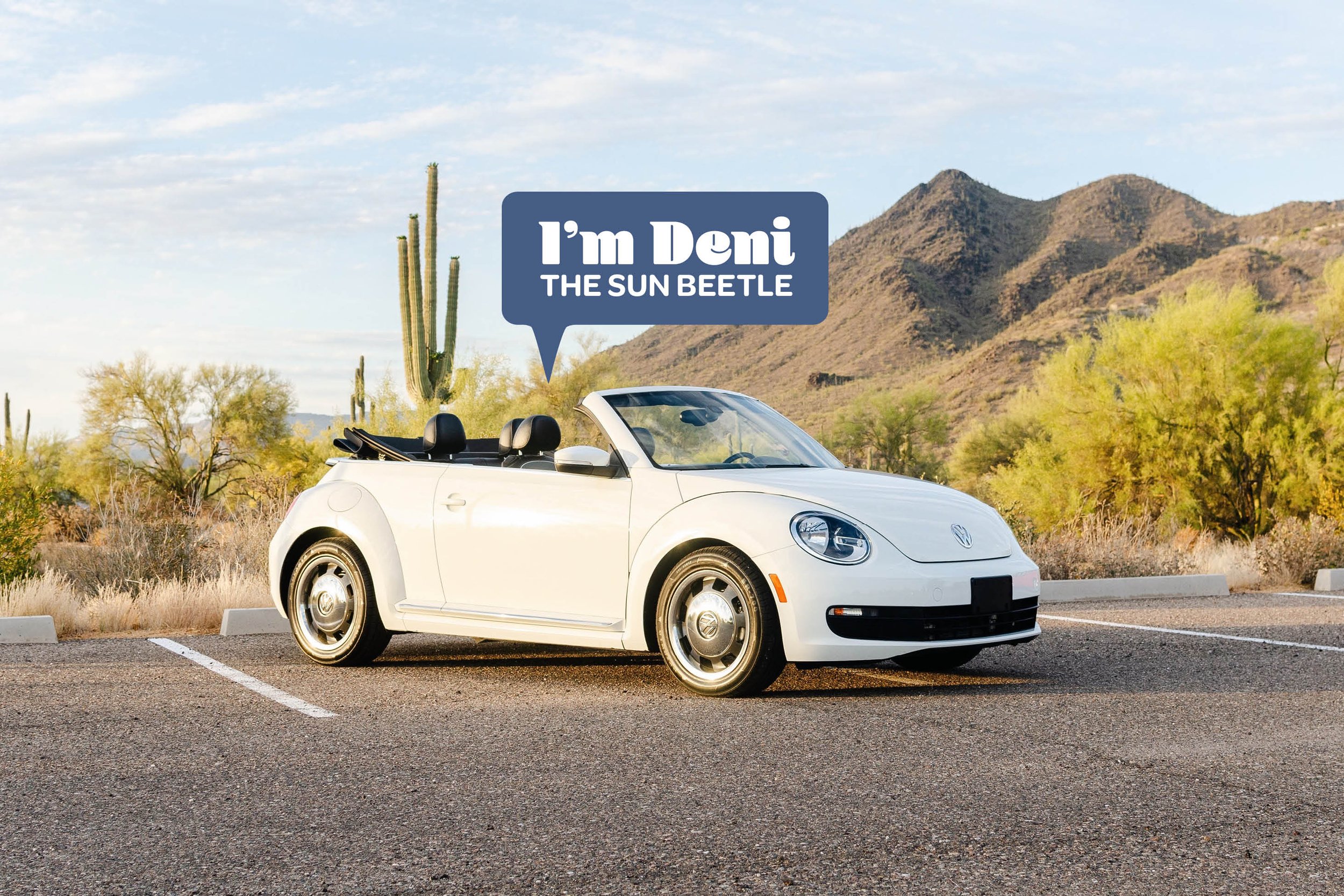 Deni The Sun Beetle