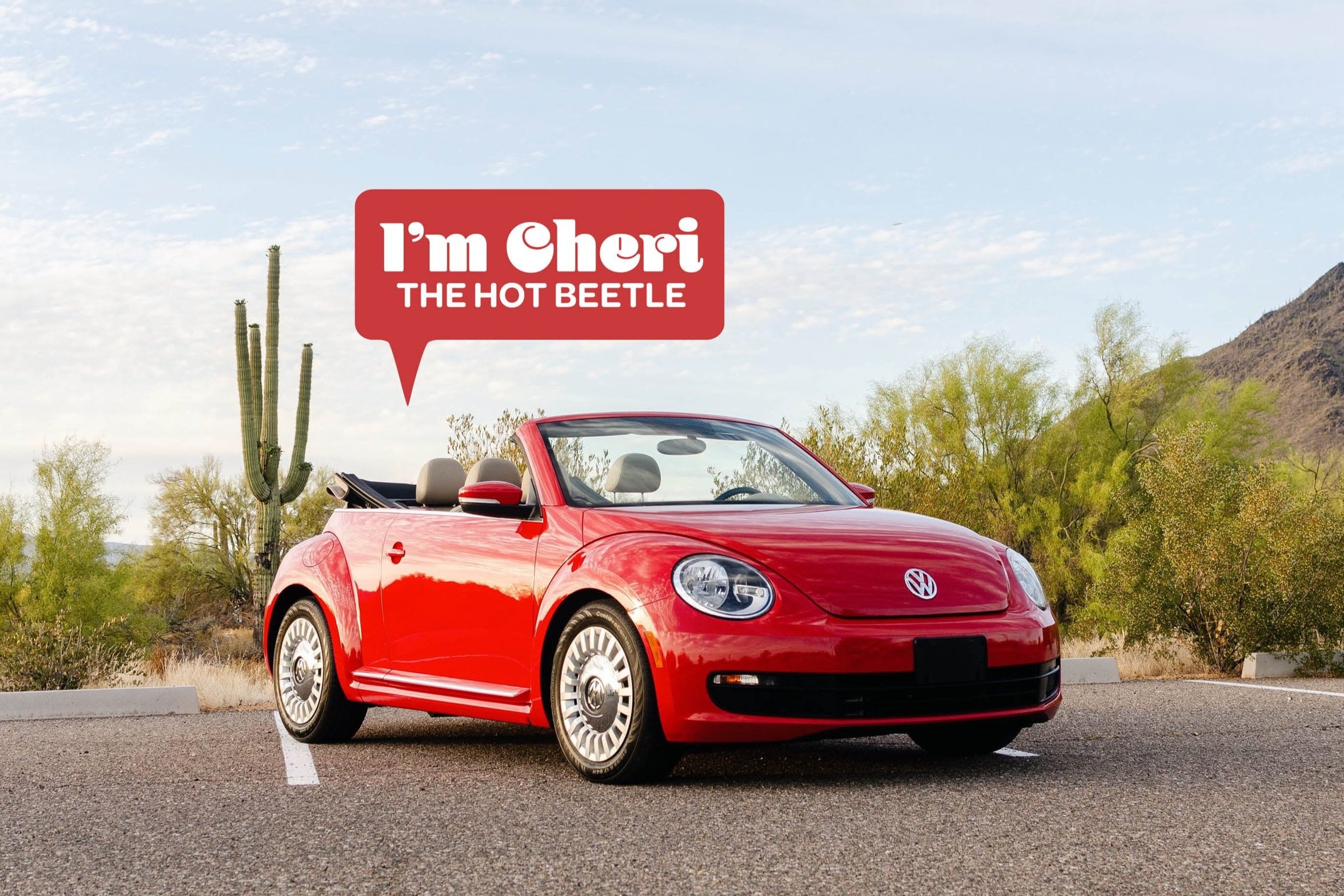 Cheri The Hot Beetle