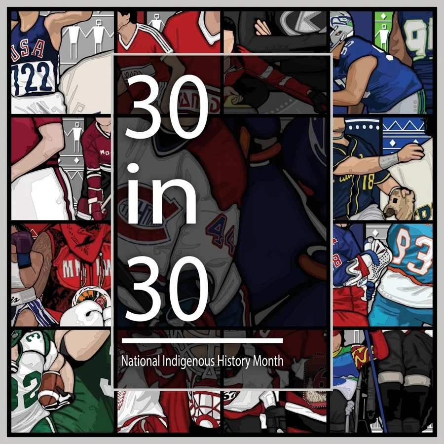 30 in 30 book cover.jpg