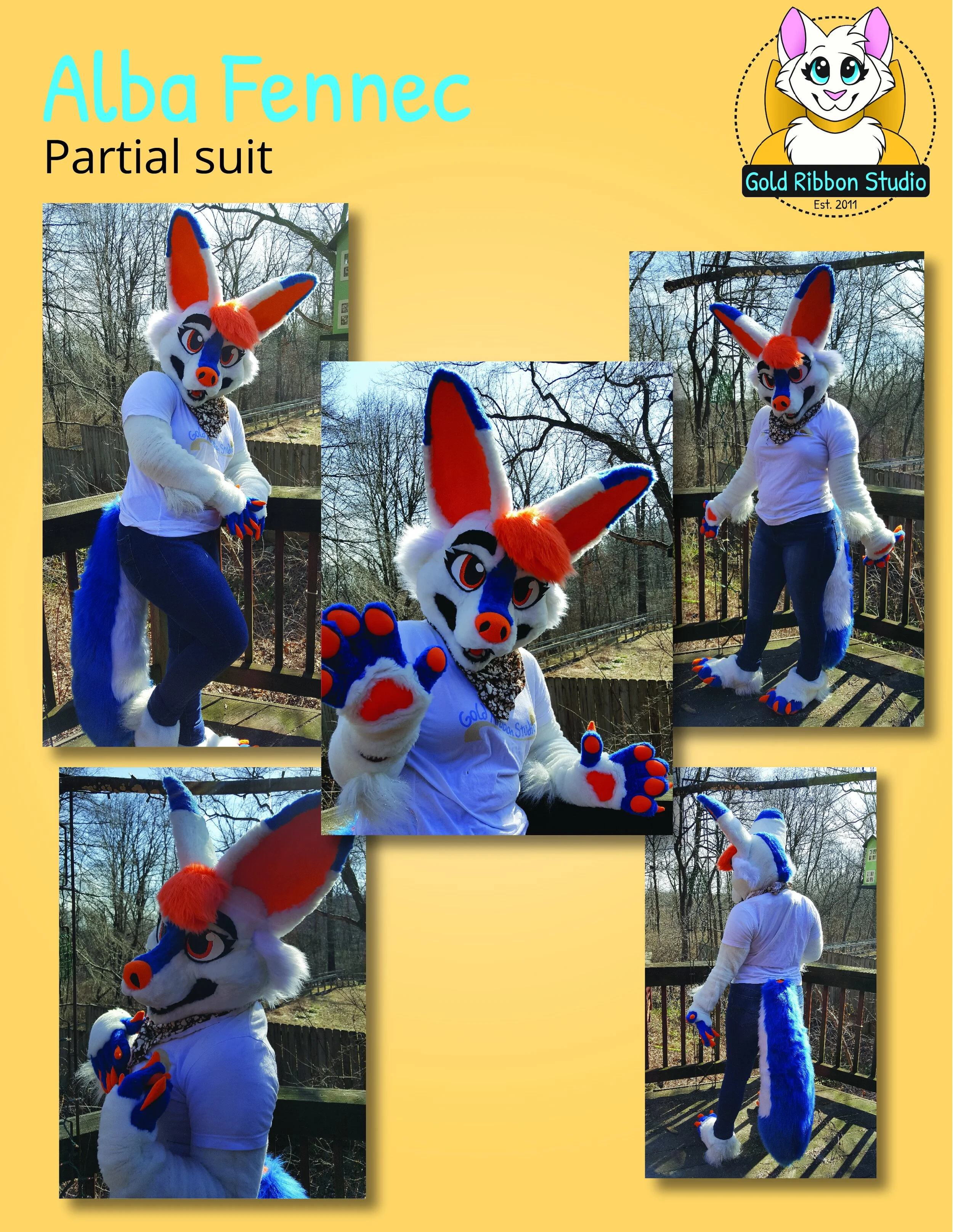 Gallery — Gold Ribbon Studio