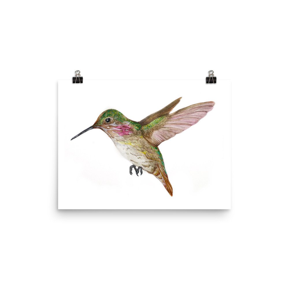 enhanced-matte-paper-poster-(in)-12x16-transparent-63091f9da6c60.jpg