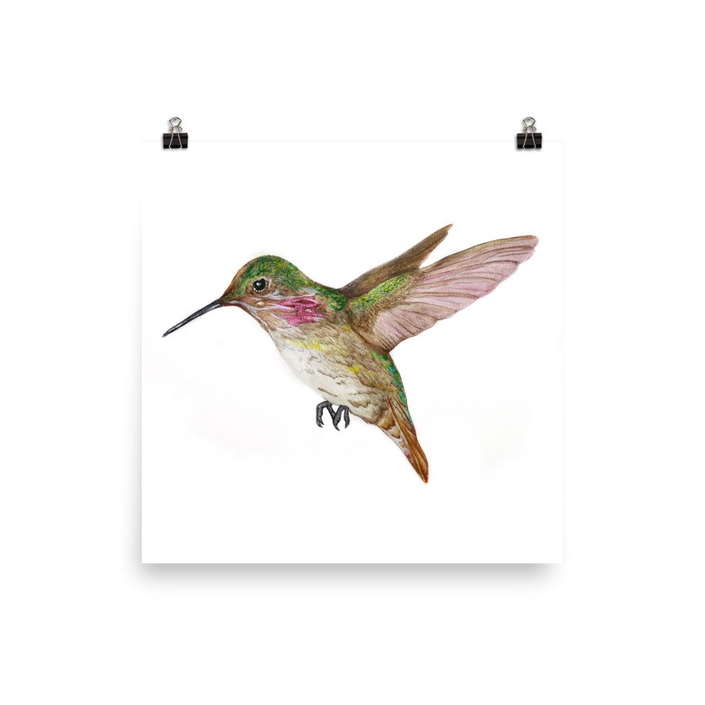 enhanced-matte-paper-poster-(in)-10x10-transparent-63091f9da740f.jpg