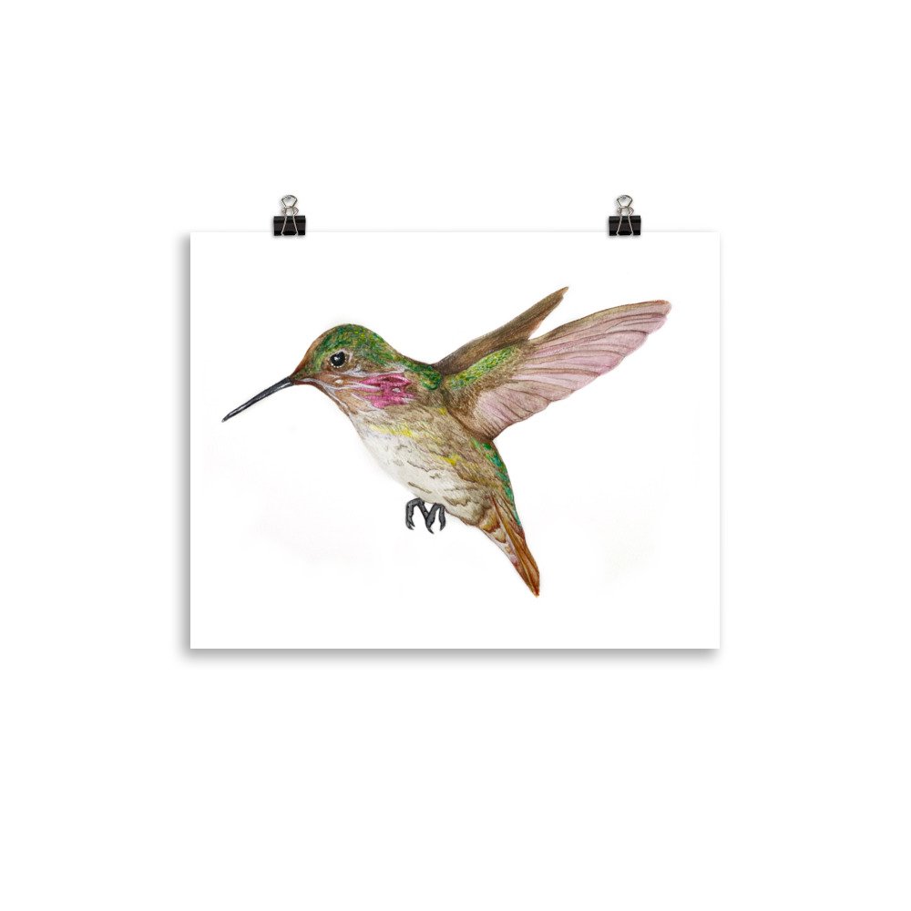 enhanced-matte-paper-poster-(in)-11x14-transparent-63091f9da74d9.jpg