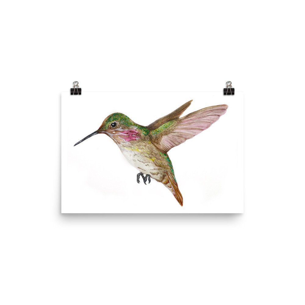 enhanced-matte-paper-poster-(in)-12x18-transparent-63091f9da76b9.jpg