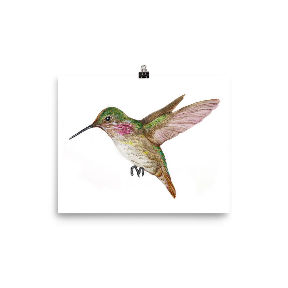 enhanced-matte-paper-poster-(in)-8x10-transparent-63091f9da7890.jpg