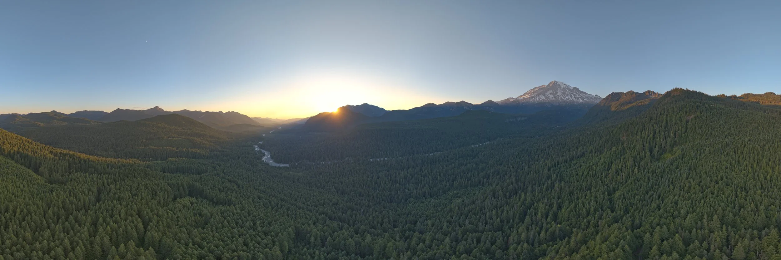 Remember the Light_Website.jpg