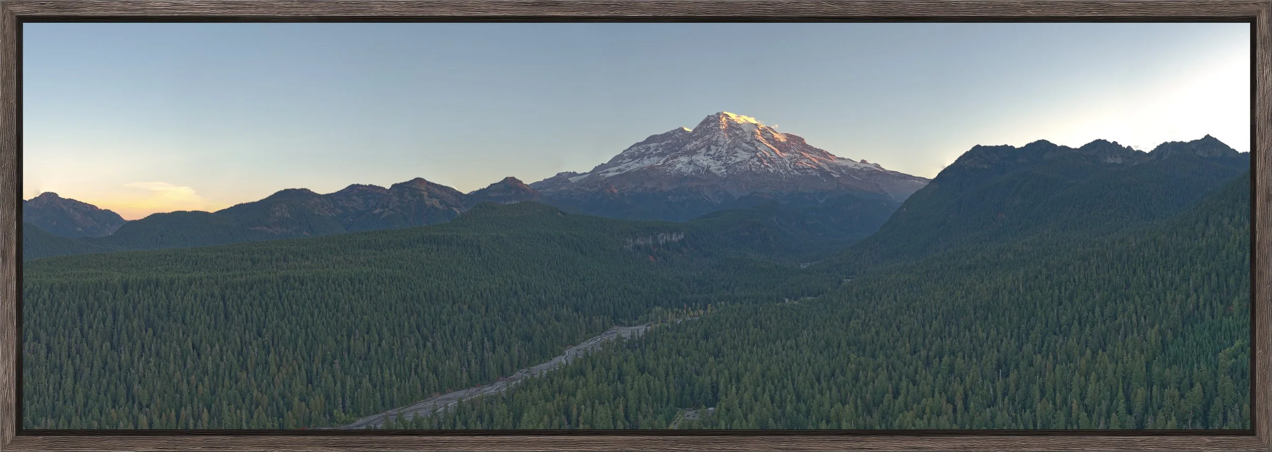 Muted Ascent - Natural Barnwood.jpg