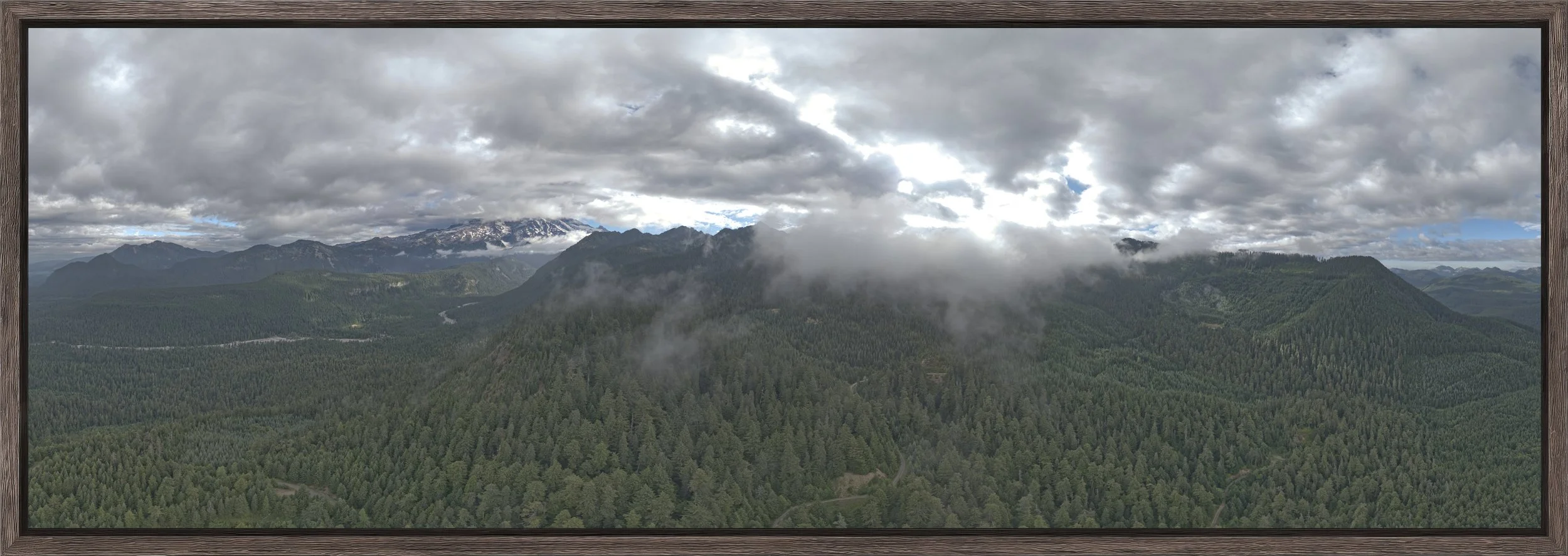 Under Weather - Natural Barnwood.jpg