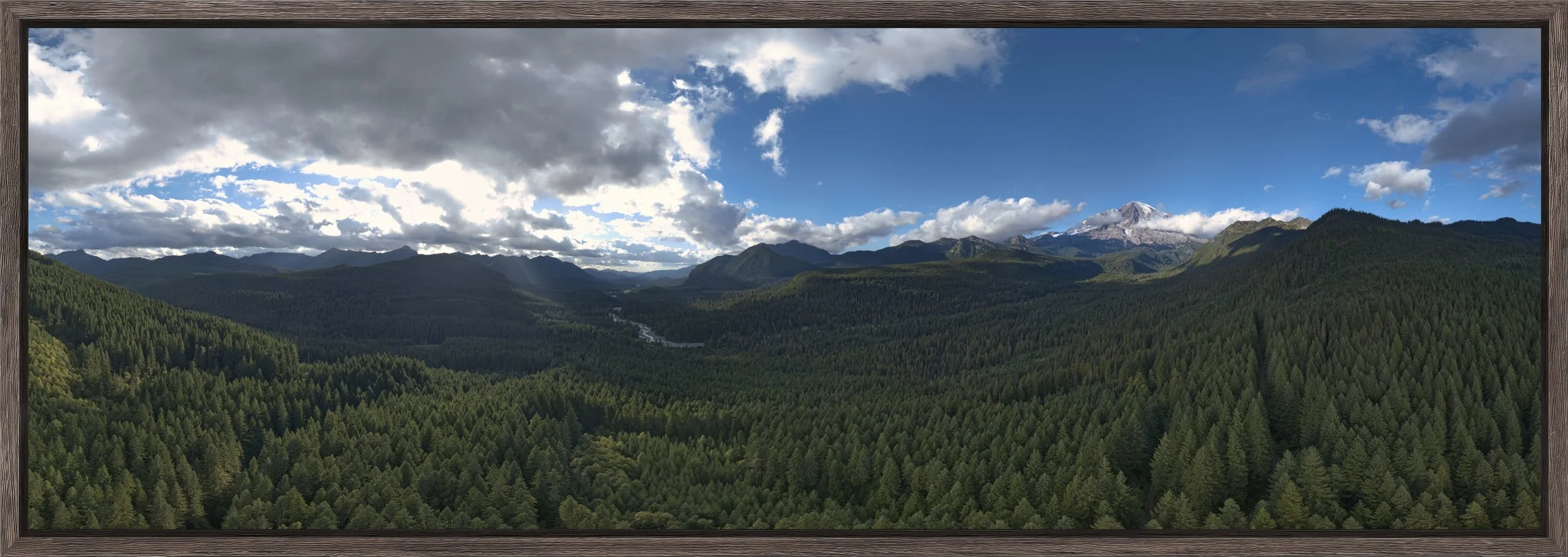 Natural Barnwood - Slim Float Frame_Chasing Shadows_WEB.jpg