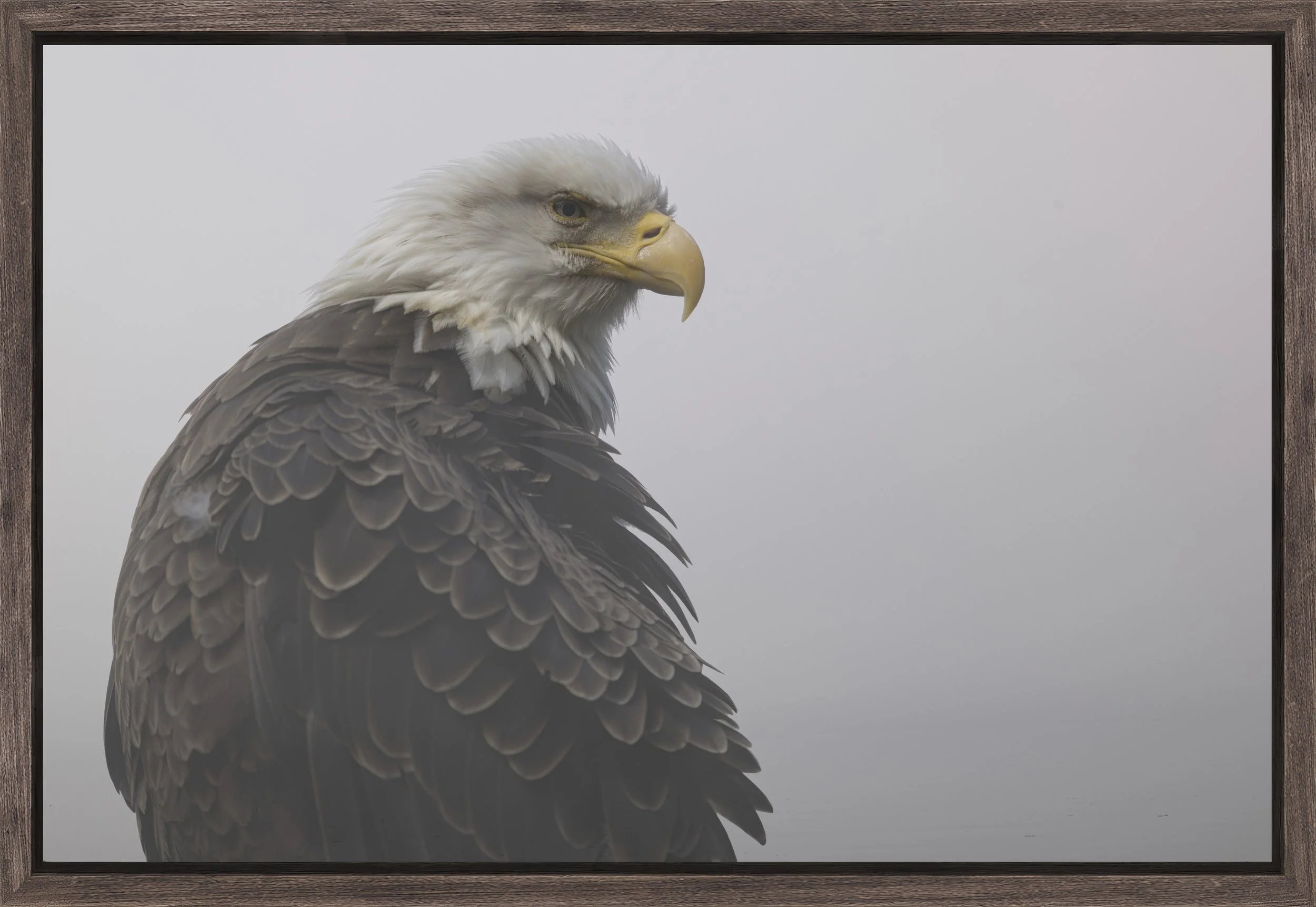 Natural Barnwood - Slim Float Frame_Unspoken, Aware.jpg