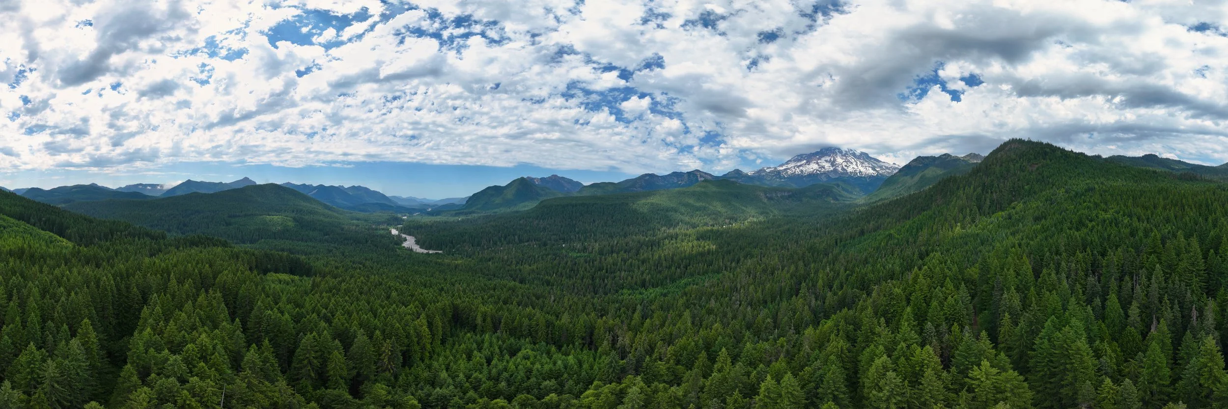 To Where the River Leads