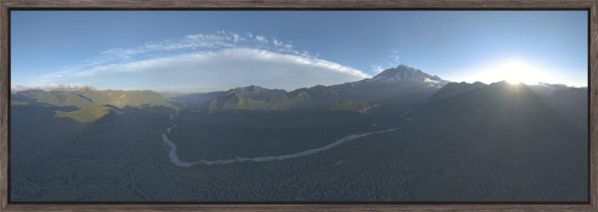 Cascadian Light - Natural Barnwood.jpg