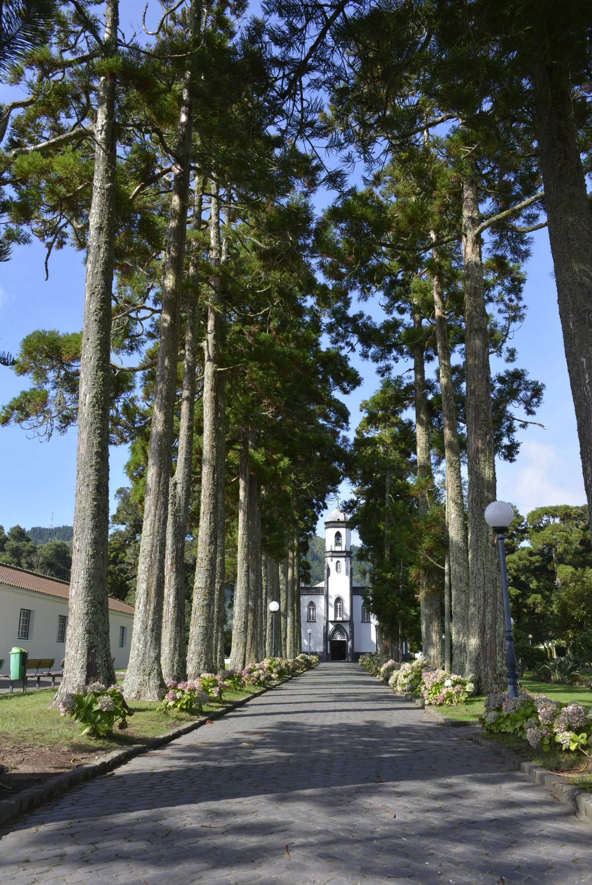 A church at the end of a cobblestone pathway lined with tall trees and flower bushes, with lampposts on each side.