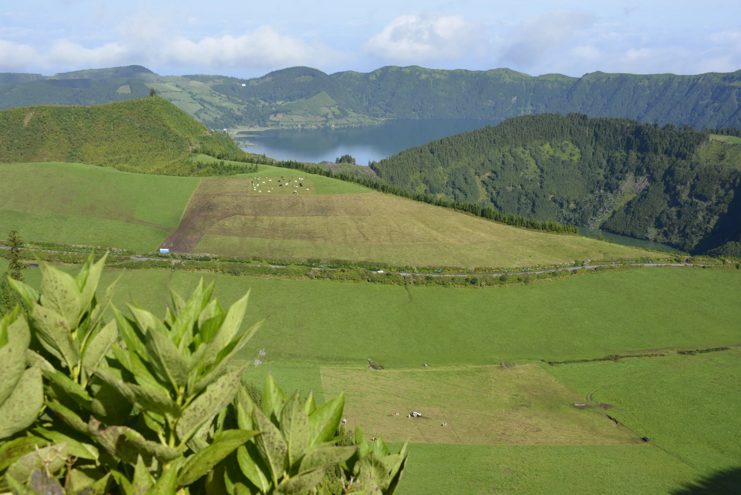 Scenic view of green rolling hills, farmland, a lake in the distance, and forested mountains under a partly cloudy sky.