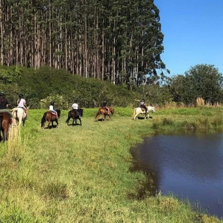 Five people riding horses along a grassy lakeside with a forest in the background.