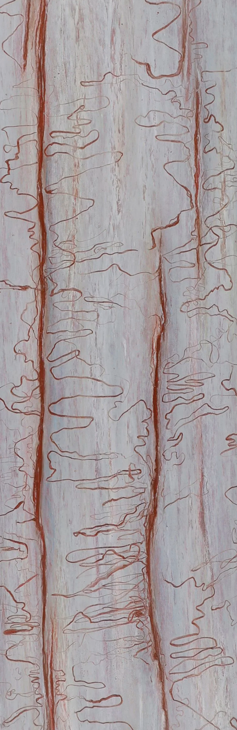 Scribbly Gum, Acrylic and oil pastel on MDF 	33 x 94 cm