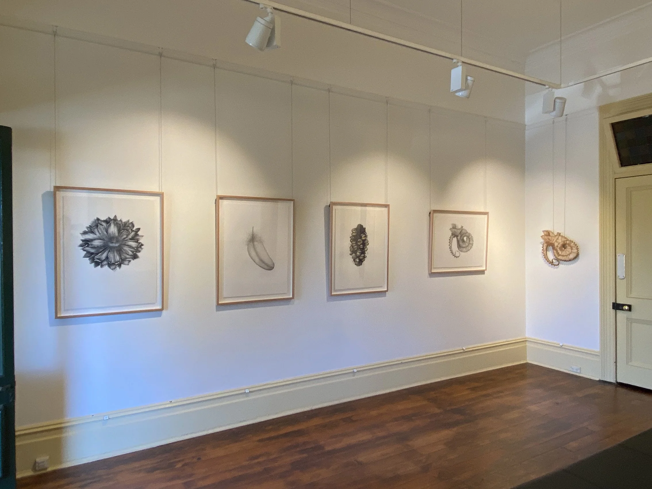 Drawings and laser cut small.jpg