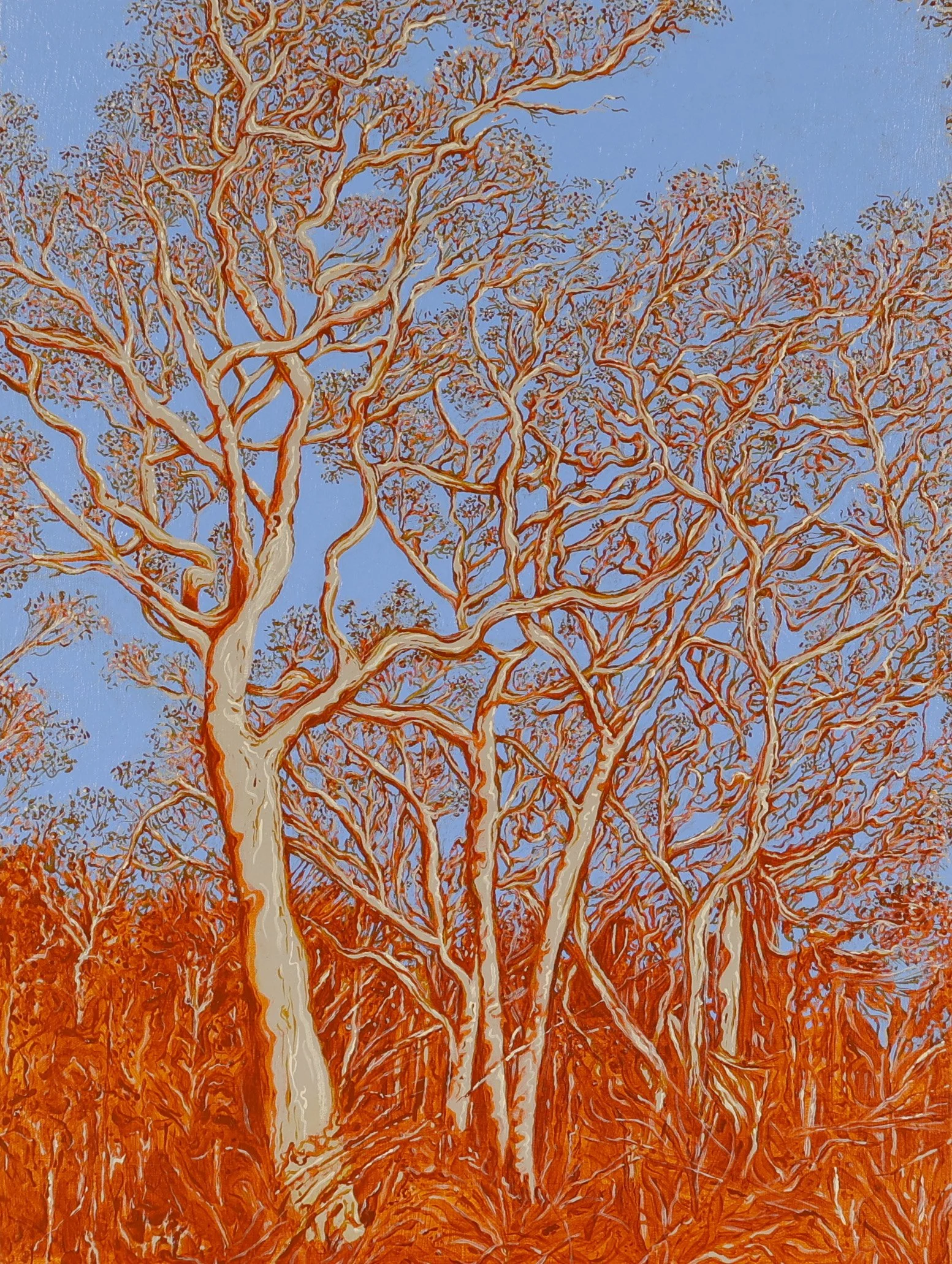 Dantes Glen Path, Acrylic and ink on linen. 46 x 61 cm. Sold