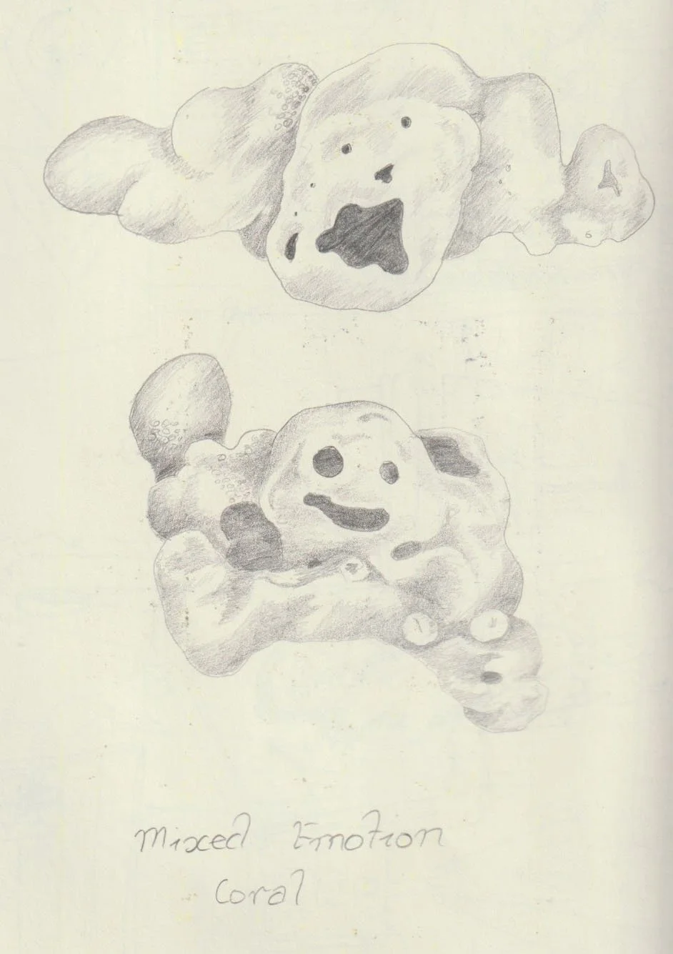 Coral from Timor Leste, mixed emotions