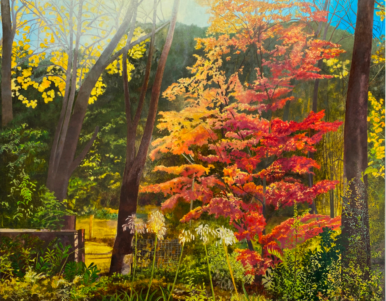 The Leura Garden, Megalong Street