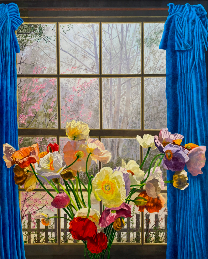 Poppies, and Blue Curtains in Leura