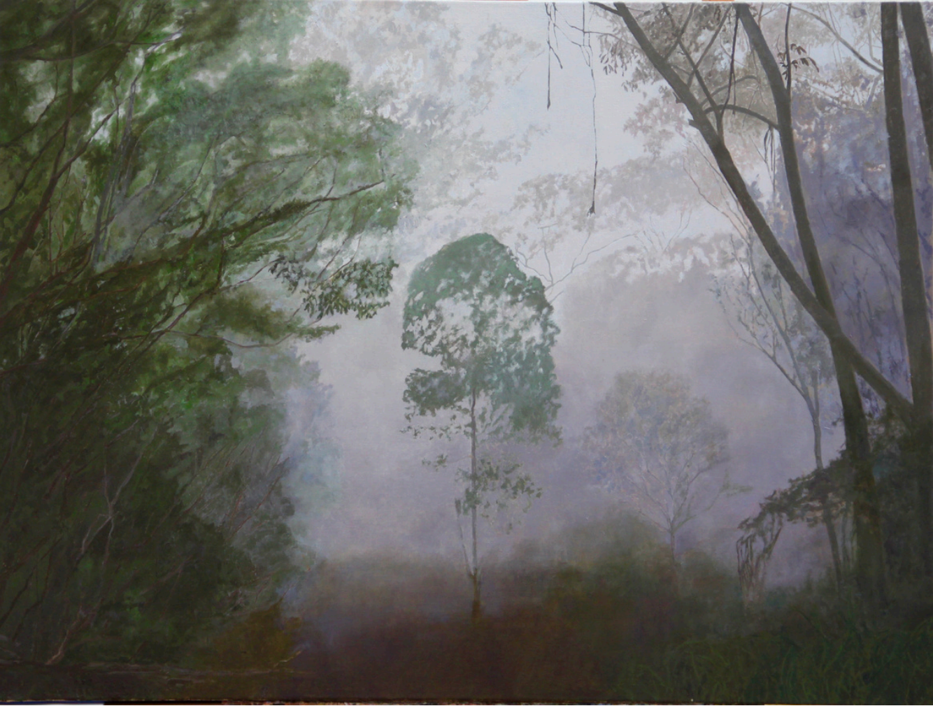 Enveloping Mist, Leura