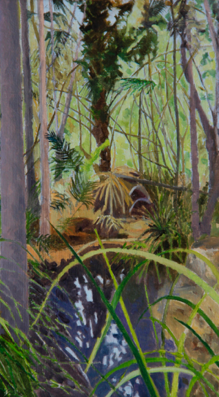 Bush Interior, Gordon Falls