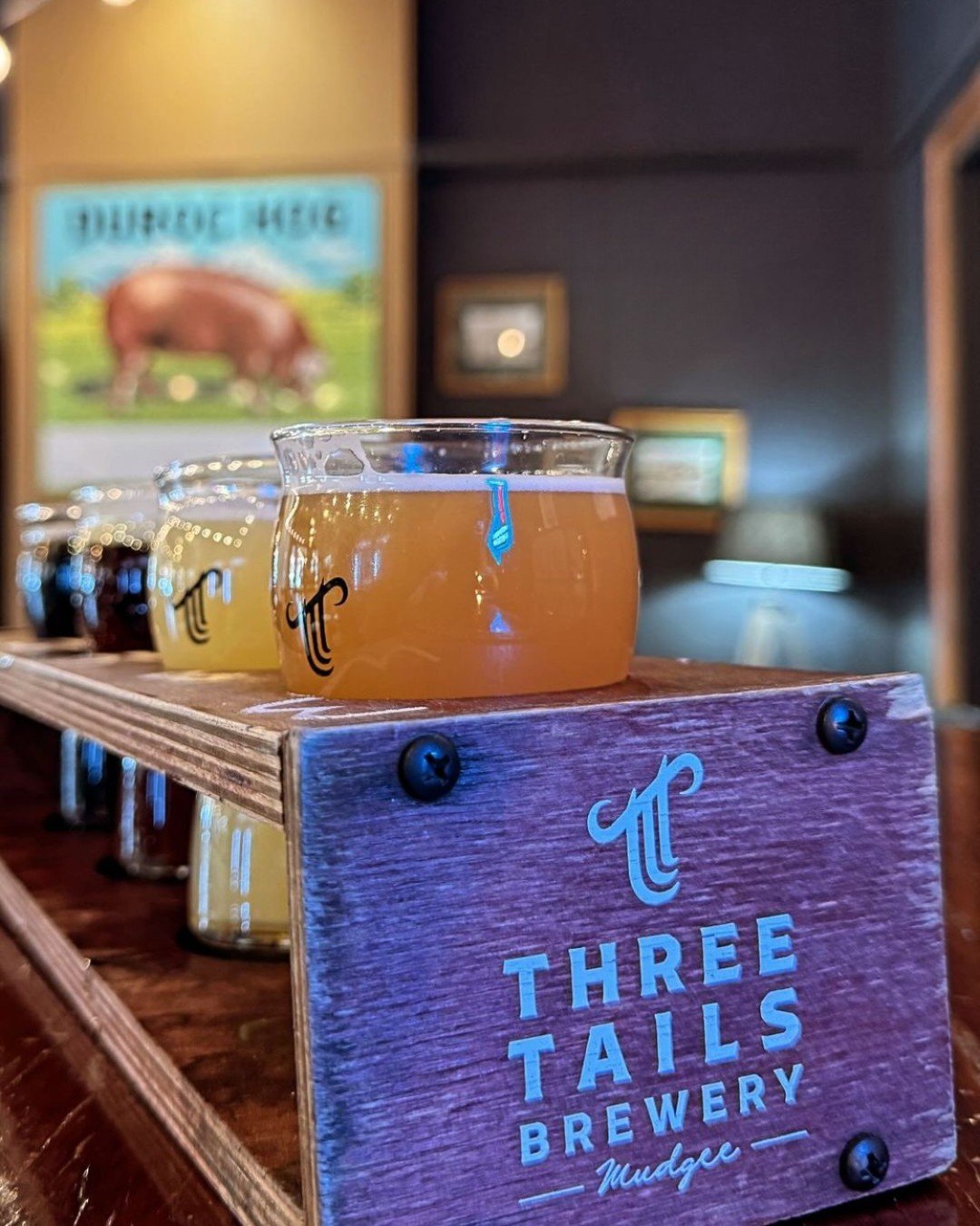 Come on down tomorrow for our last day of trading for 2025 🙌 Enjoy live music by Sugarfoot, tasty share plates, local bevs &amp; festive vibes 🍻🎄 Plus, if you&rsquo;re still rounding up Chrissy gifts, this is the place to be - grab gift vouchers, 