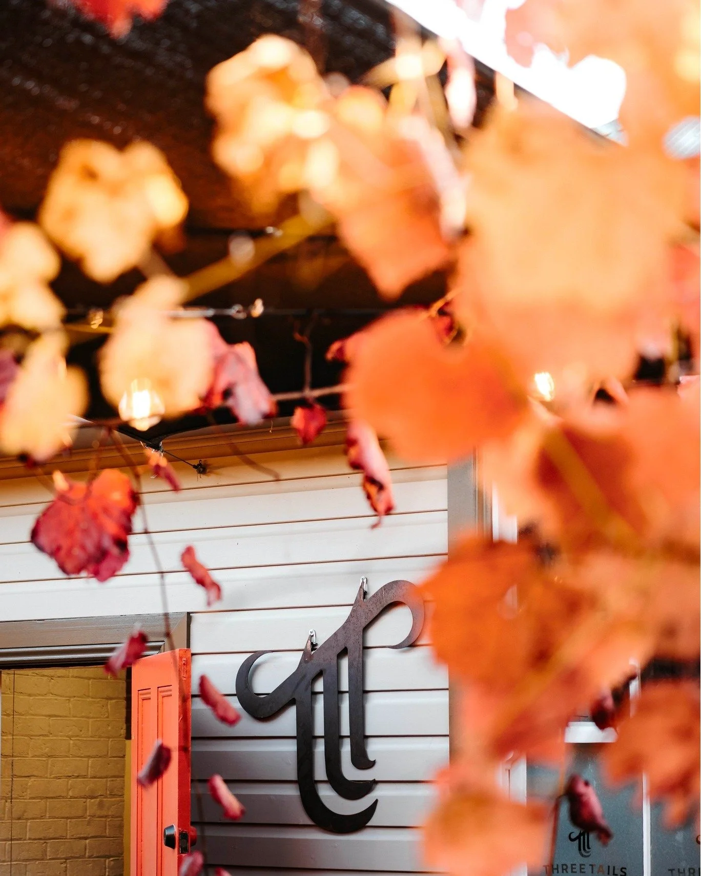 Autumn vibes in our beer garden 🍂 We&rsquo;re gearing up for cooler weather with crisp beers &amp; a side of @billyboils_mudgee food - the perfect way to unwind each week 👌 Drop in &amp; watch the seasons change at Three Tails&hellip;