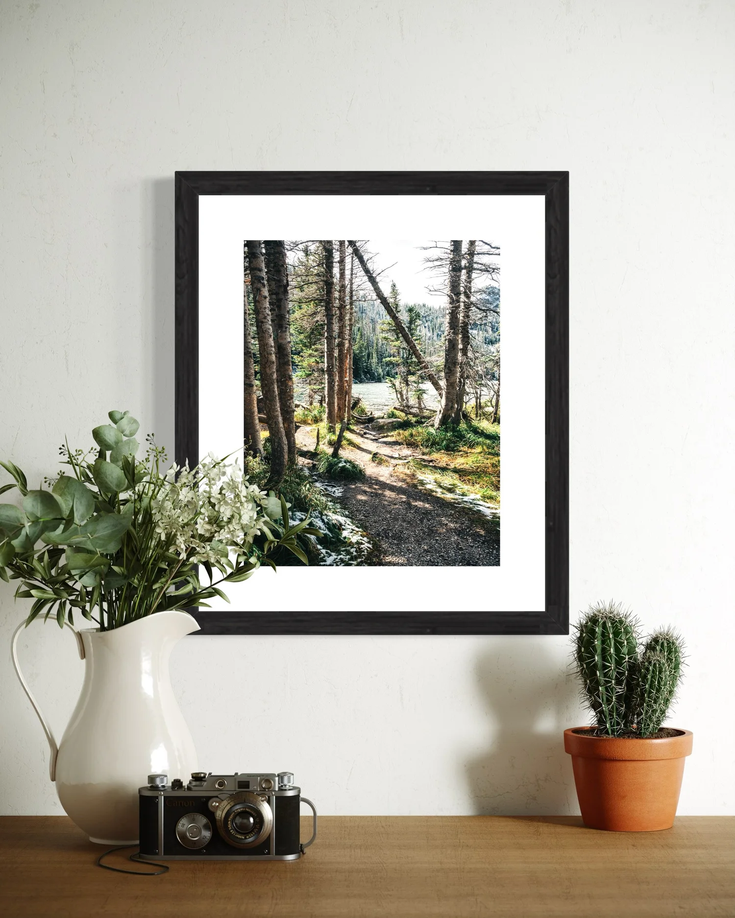 Rocky Mountain National Park — PROJECT WHERE